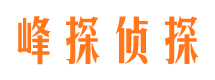 松山市调查公司